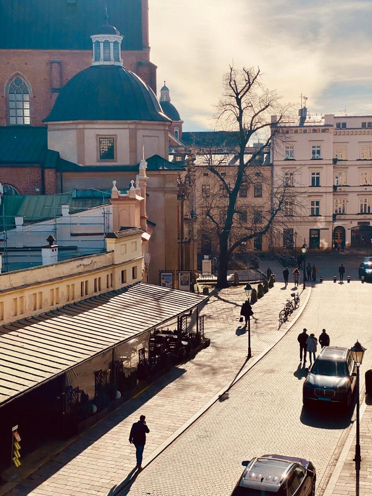 Mint Luxury At The Main Square * Krasków